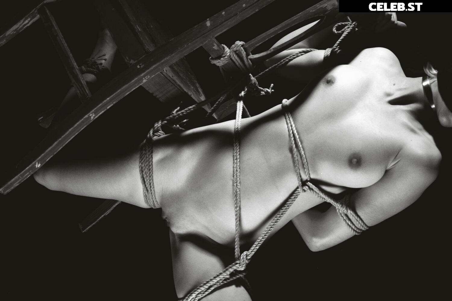 Calvato Photography - Patreon Image 2194698