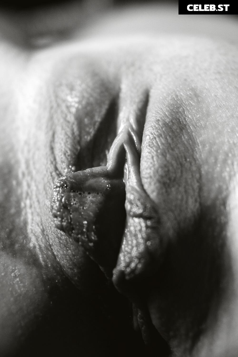 Calvato Photography - Patreon Image 2194608