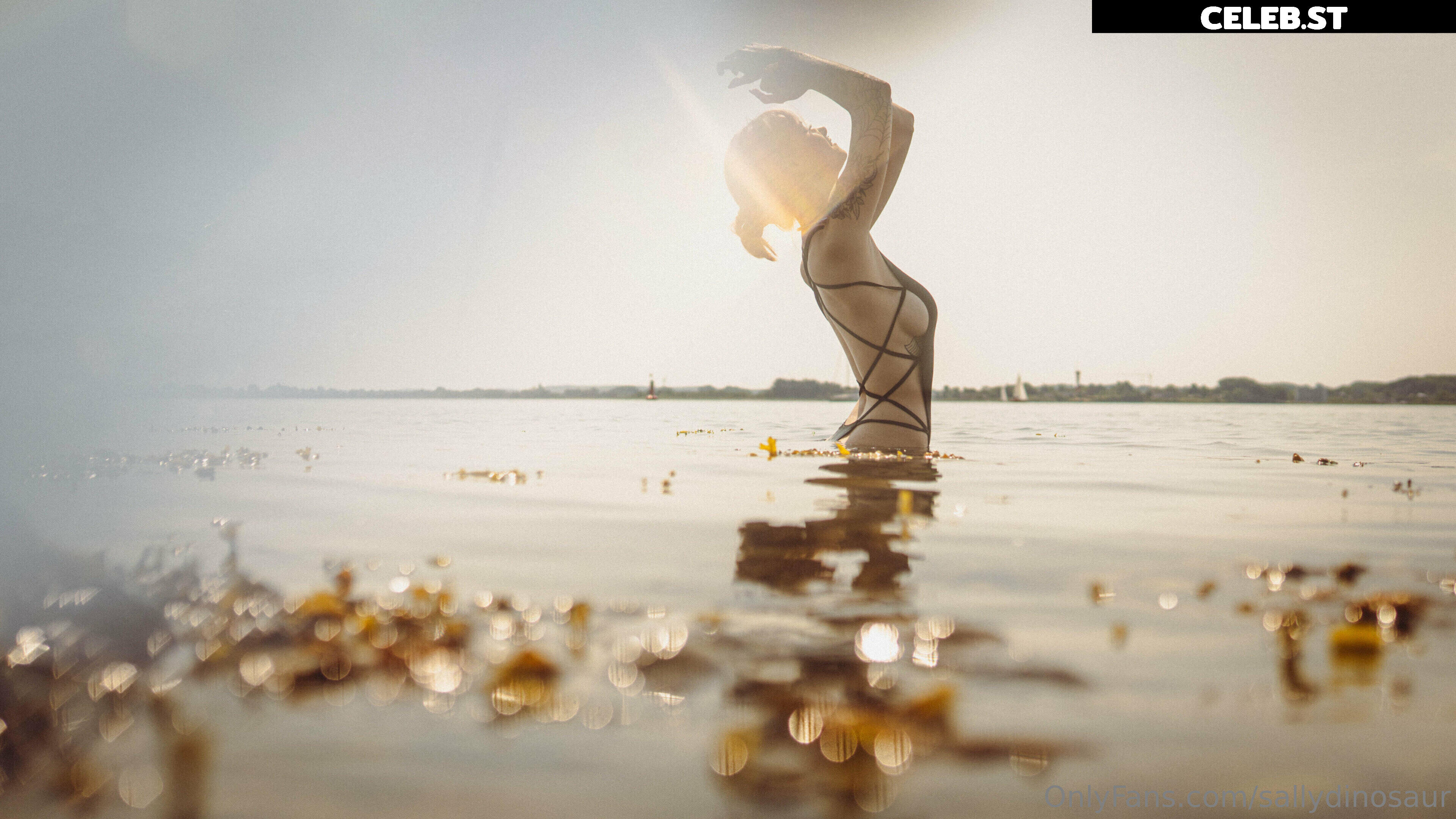 Sallydinosaur Image 2194305