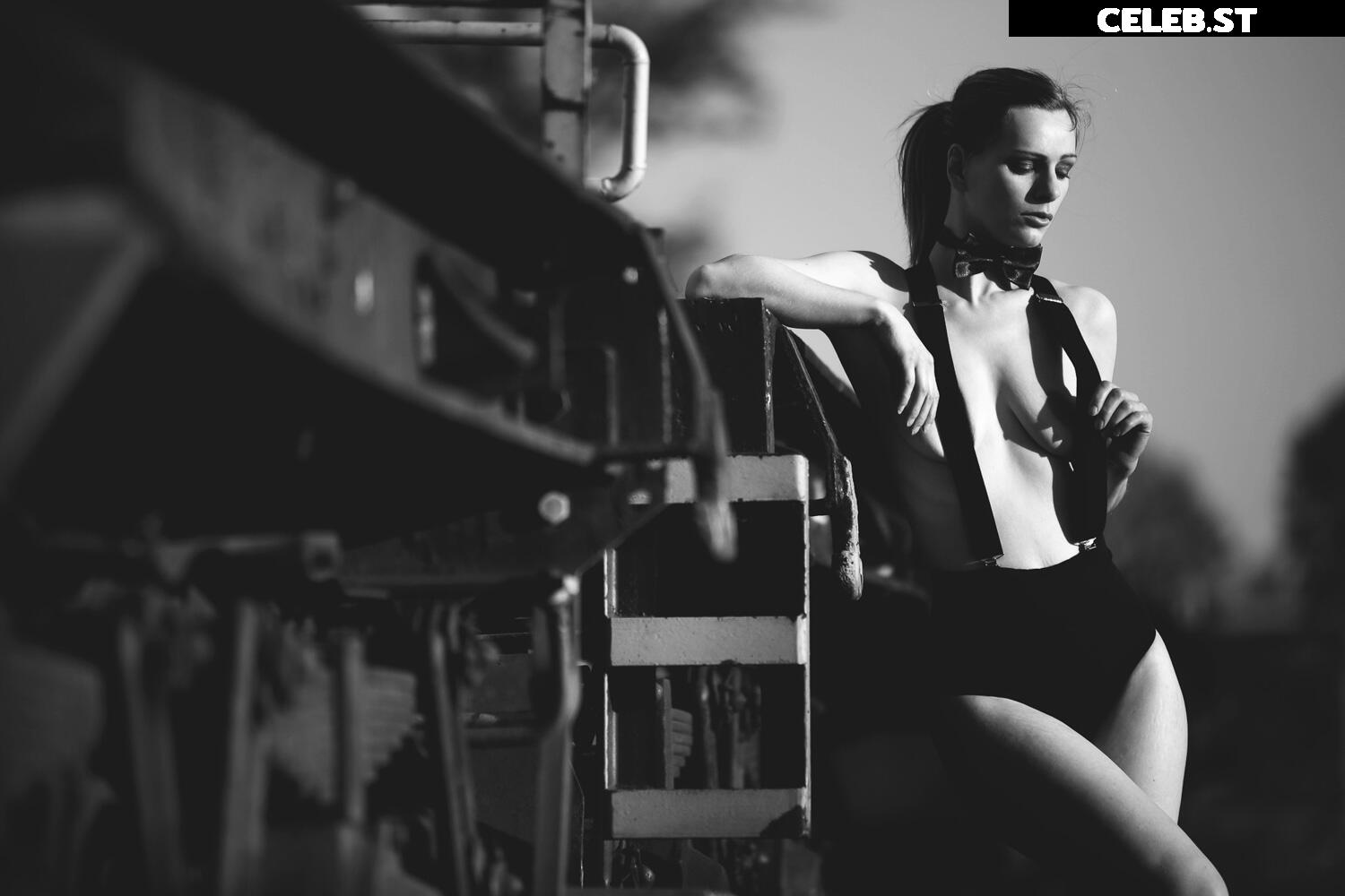 Calvato Photography - Patreon Image 2191499