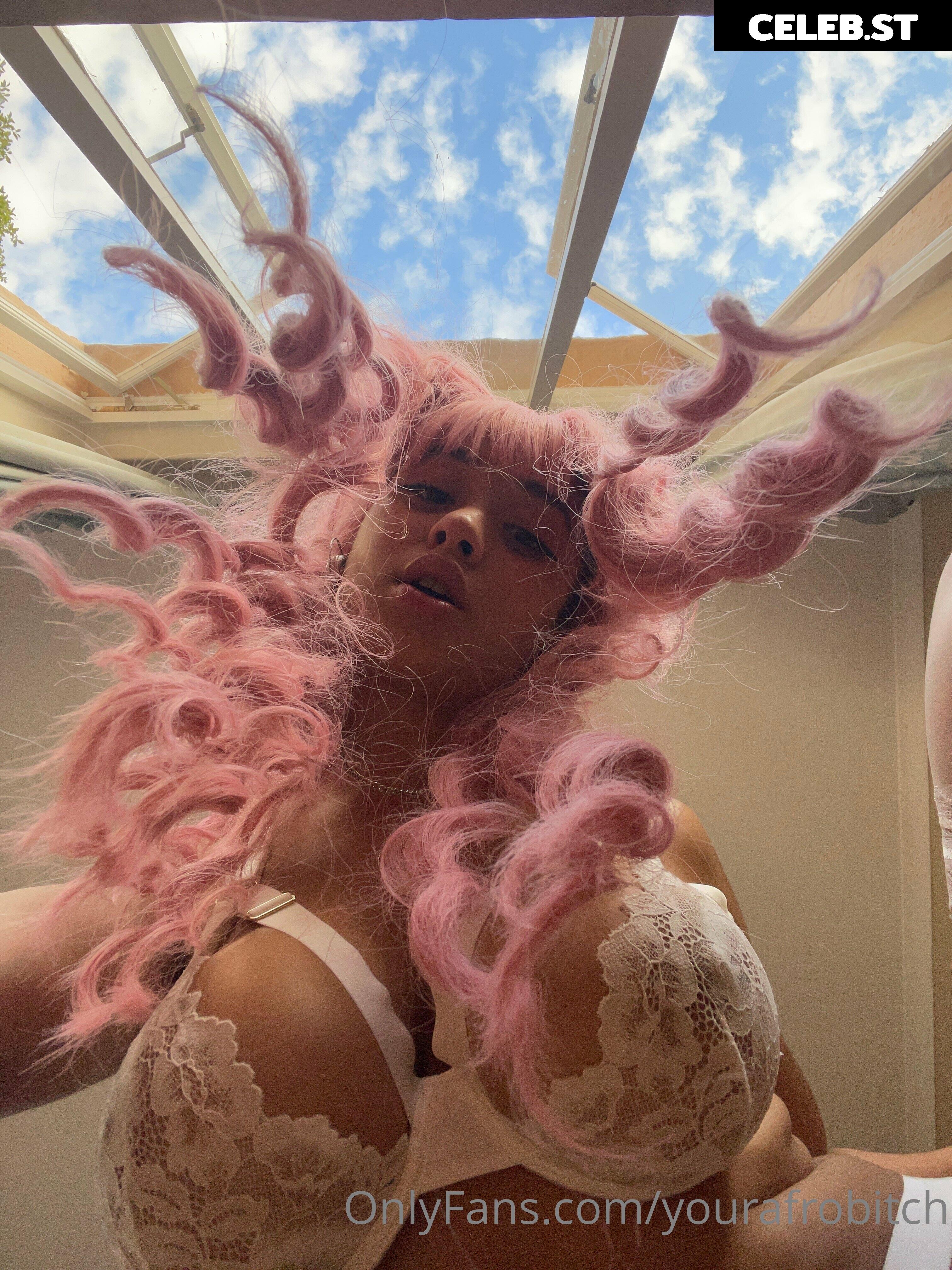 yourafrobitch Image 219331