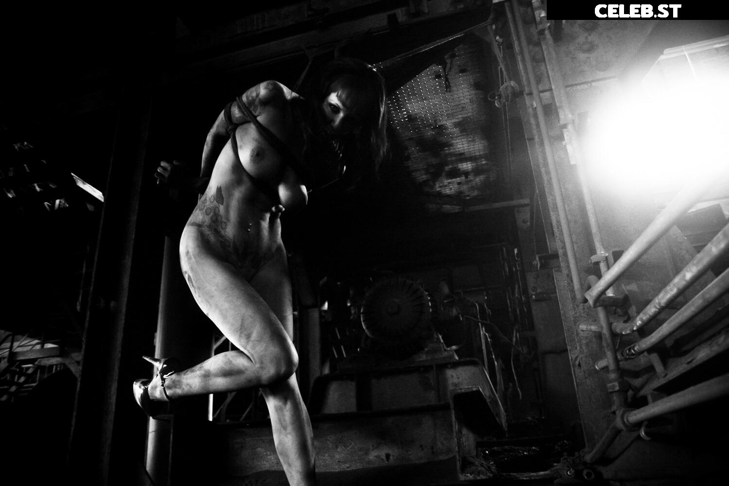 Calvato Photography - Patreon Image 2190479