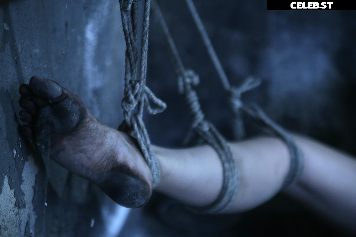 Calvato Photography - Patreon Image 2198575