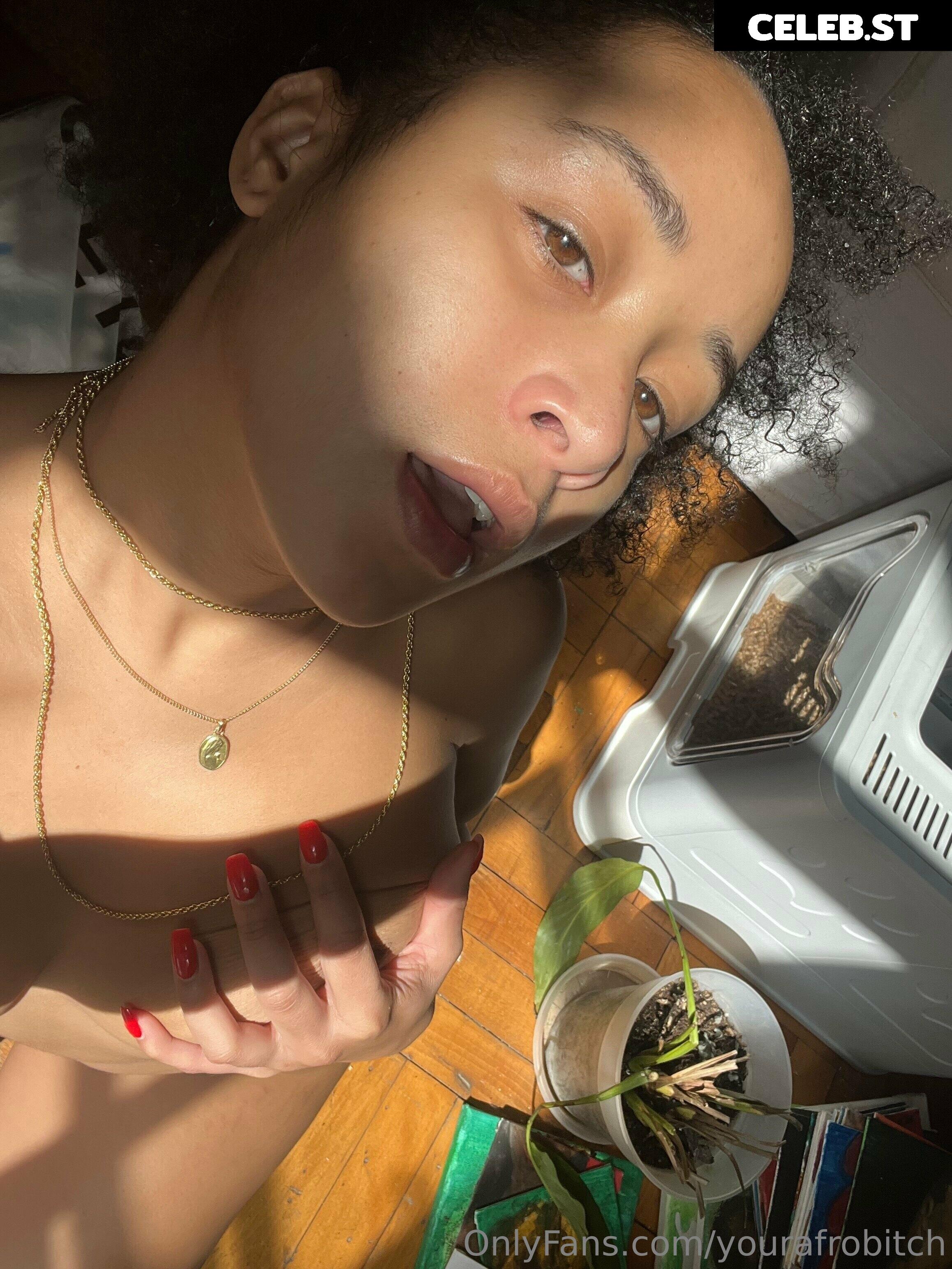 yourafrobitch Image 218579