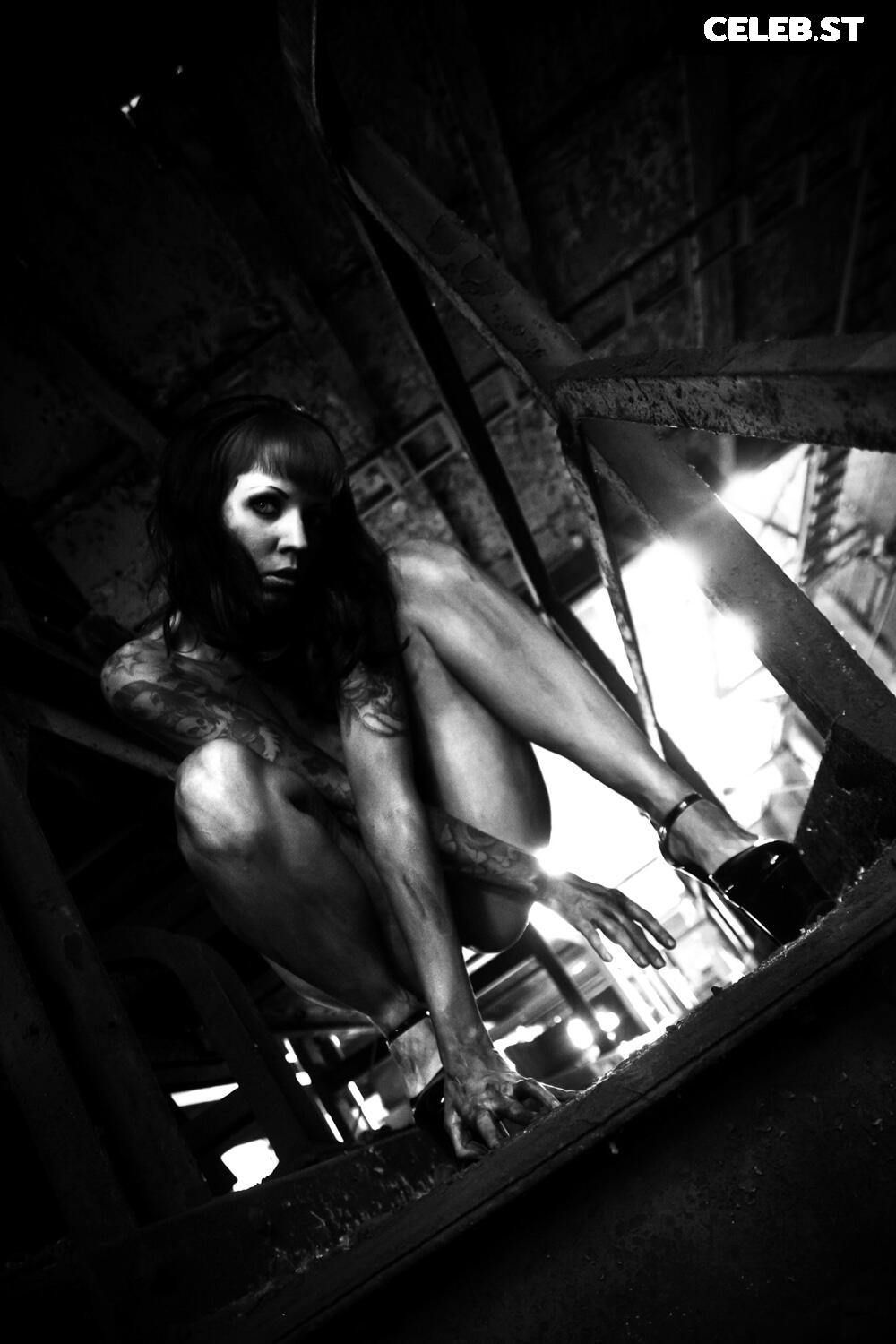 Calvato Photography - Patreon Image 2186650