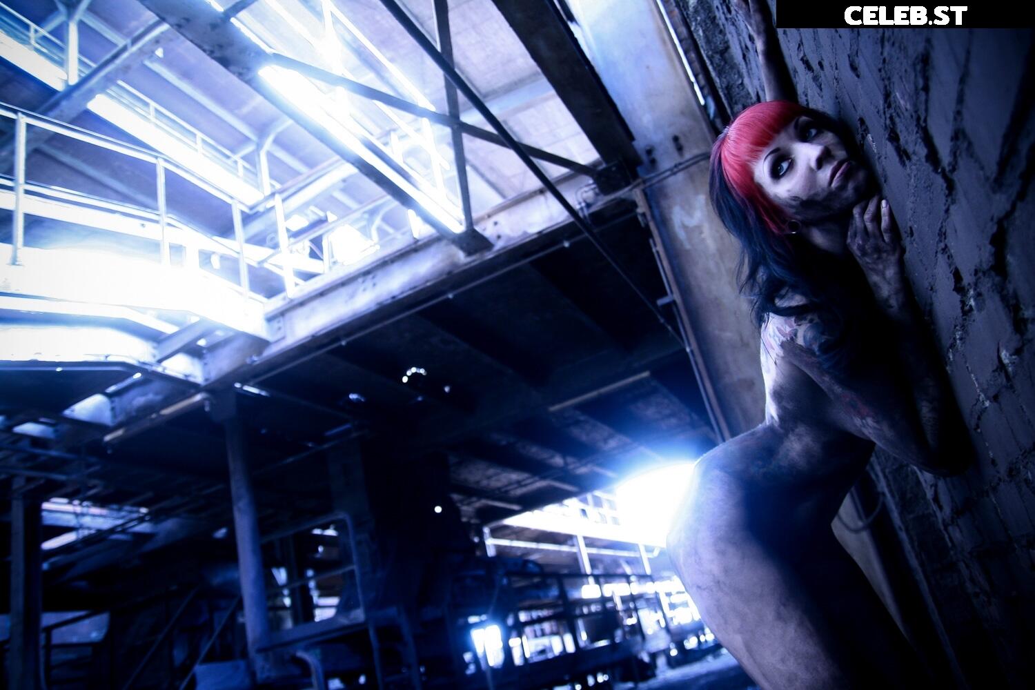 Calvato Photography - Patreon Image 2187416