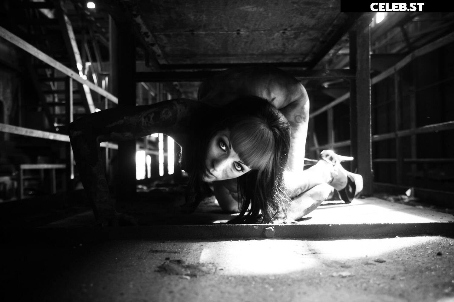 Calvato Photography - Patreon Image 2187192