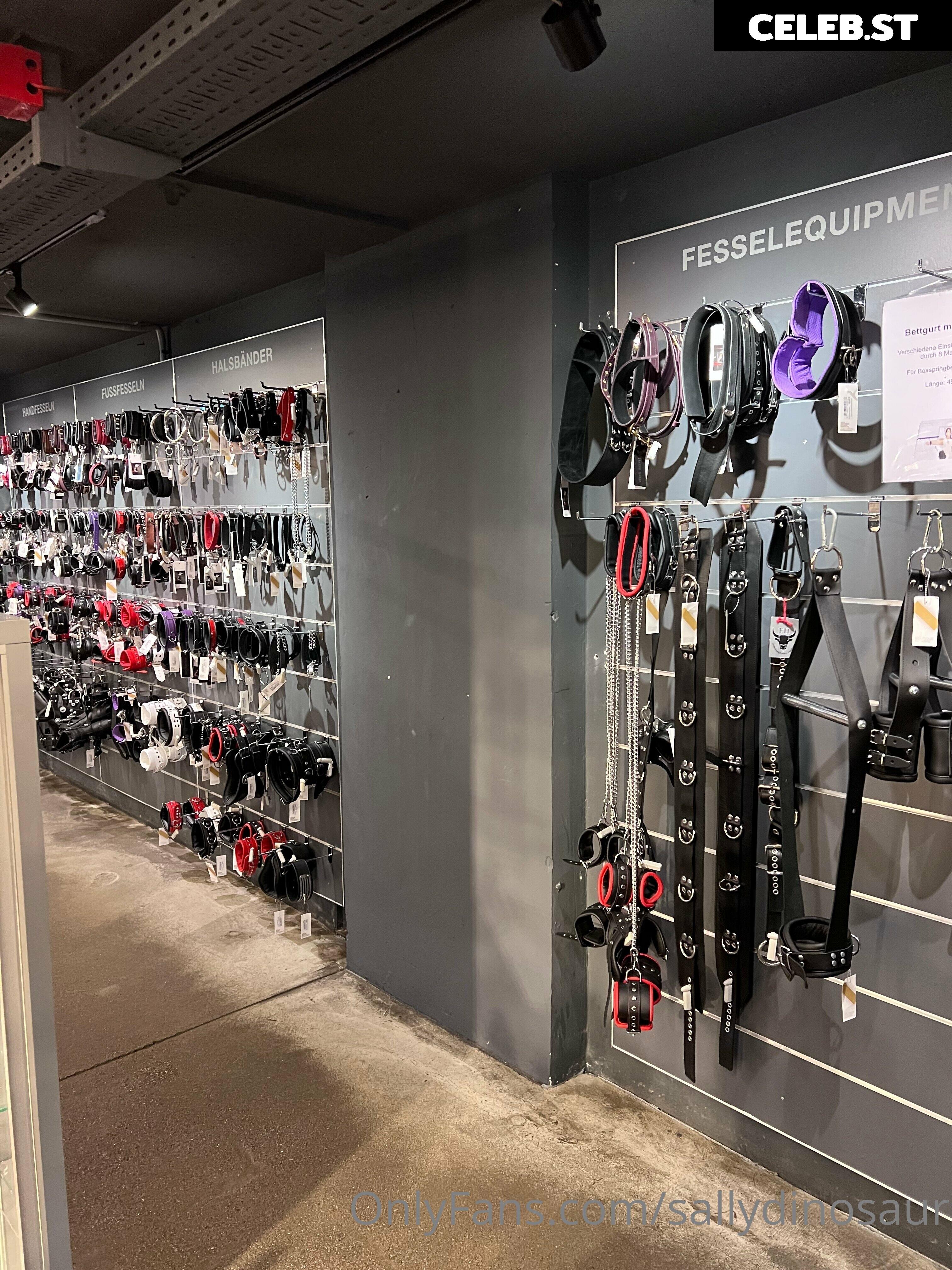 Sallydinosaur Image 2184061