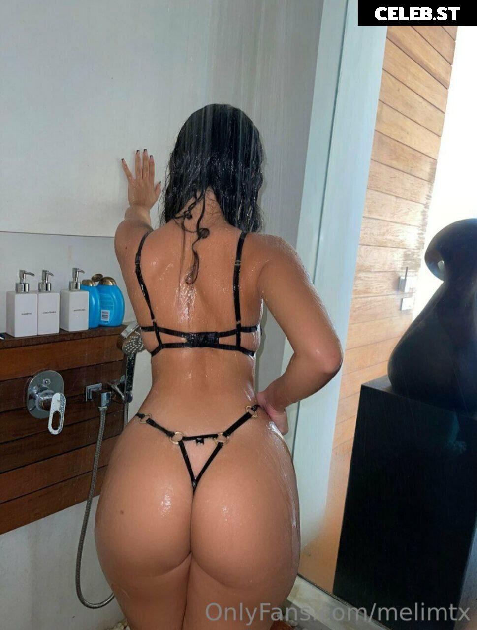 MelimTX Image 2184923