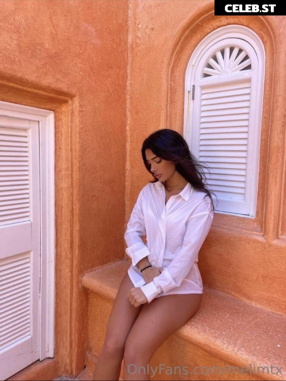 MelimTX Image 2182971