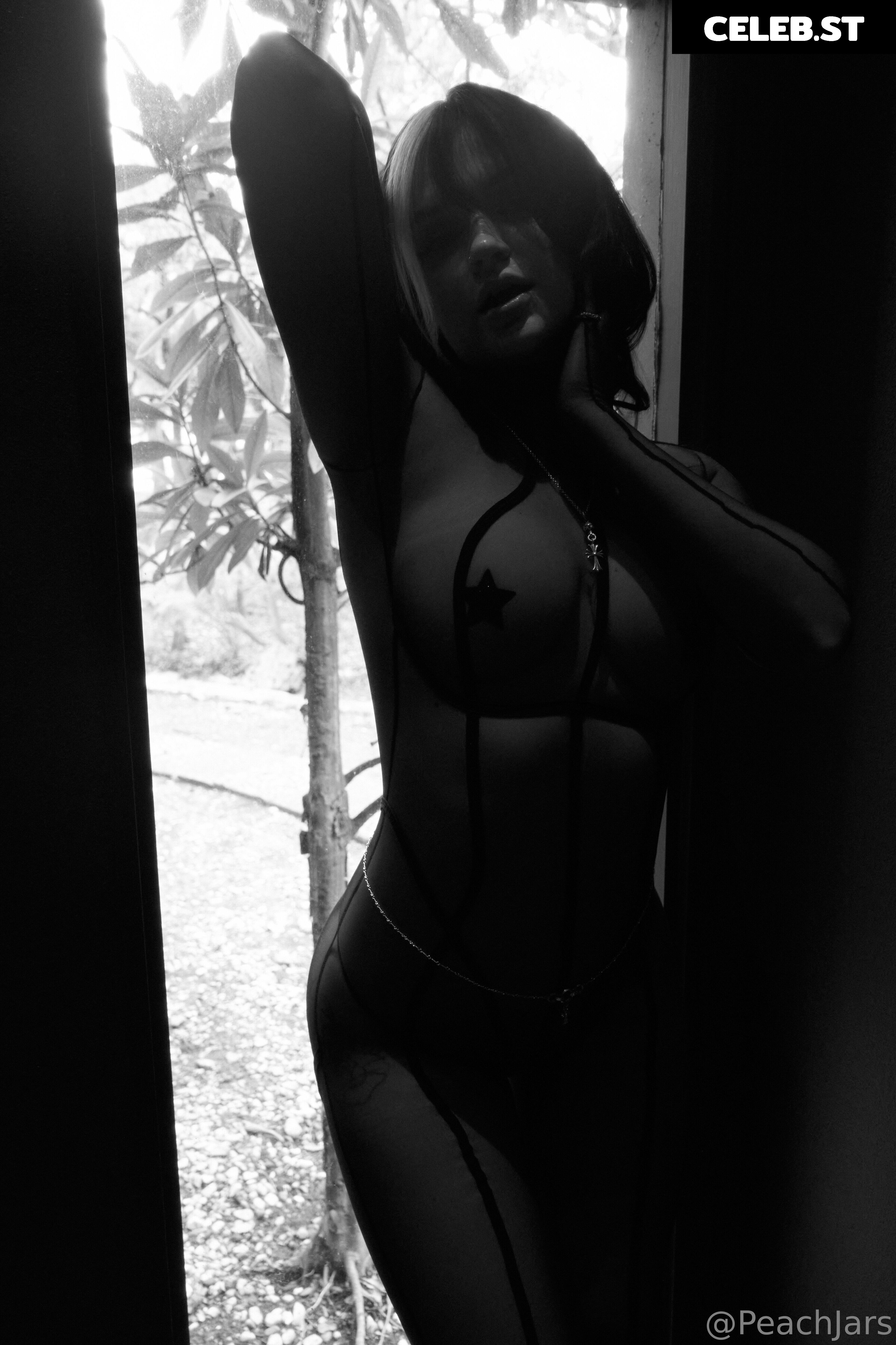 PeachJars Image 2183008