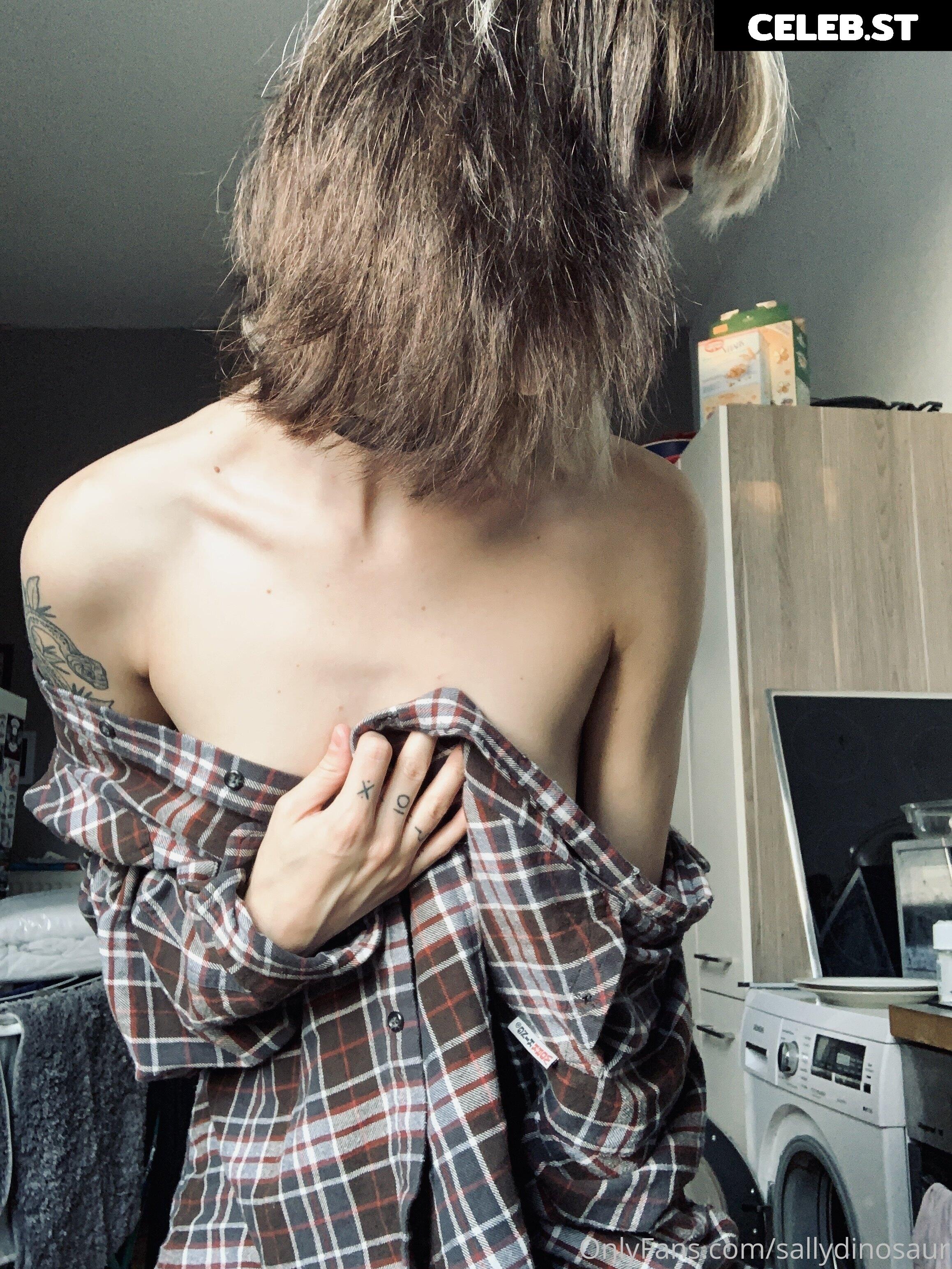 Sallydinosaur Image 2180016