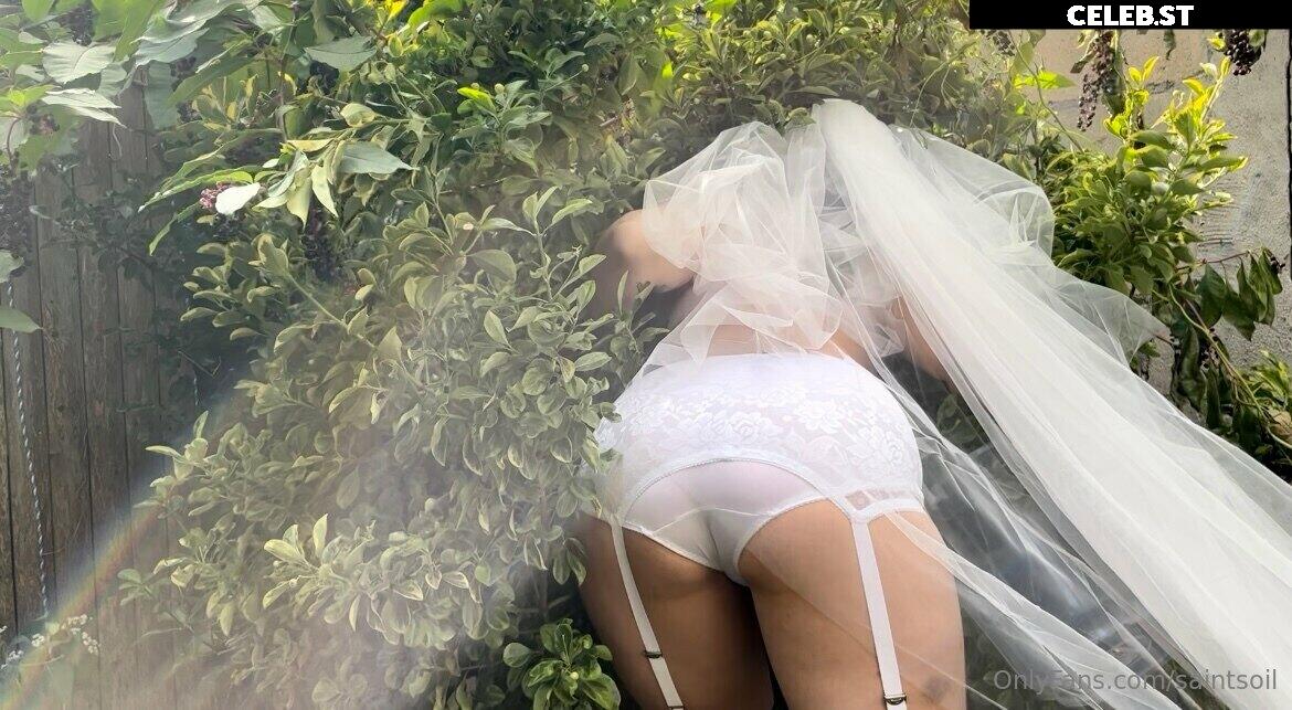 saintsoil Image 21885941