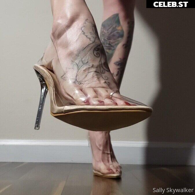 sallyskywalker Image 21880402