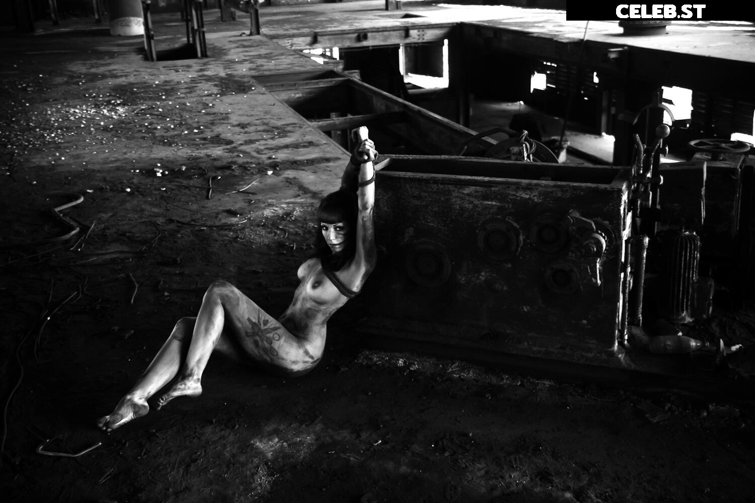 Calvato Photography - Patreon Image 2188311