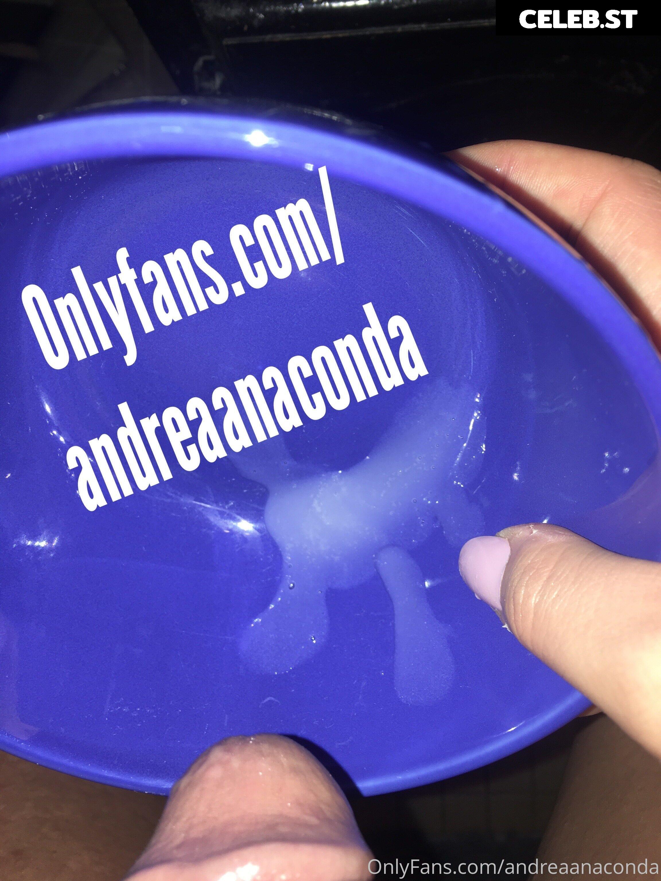 Andrea Anaconda Image 21767351