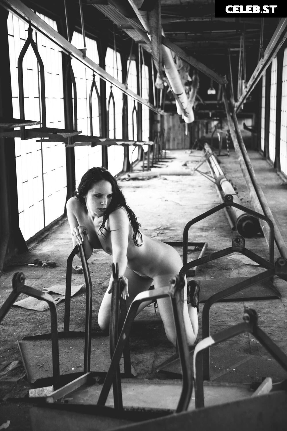 Calvato Photography - Patreon Image 2177863
