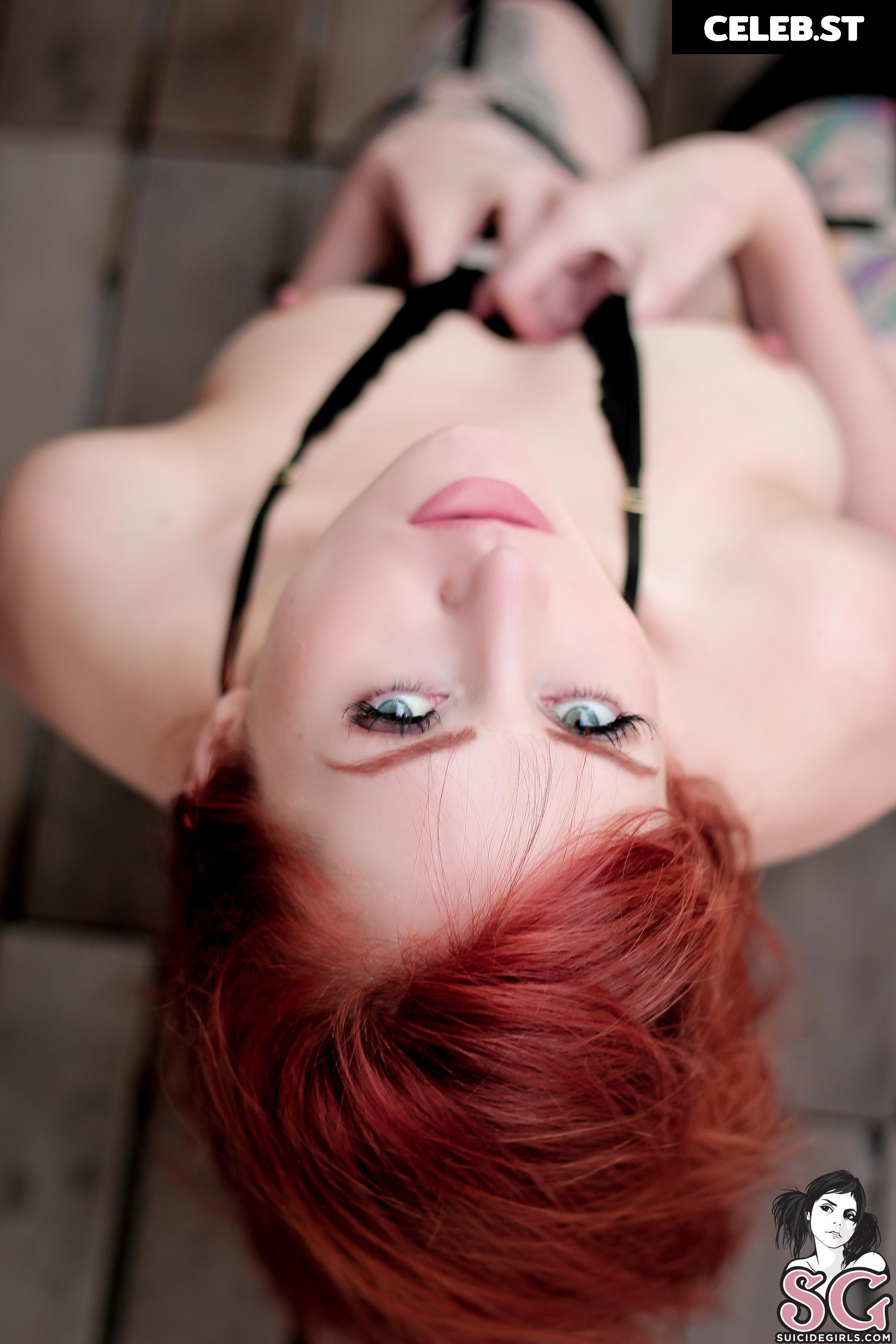 Hilo Suicide Image 21778365