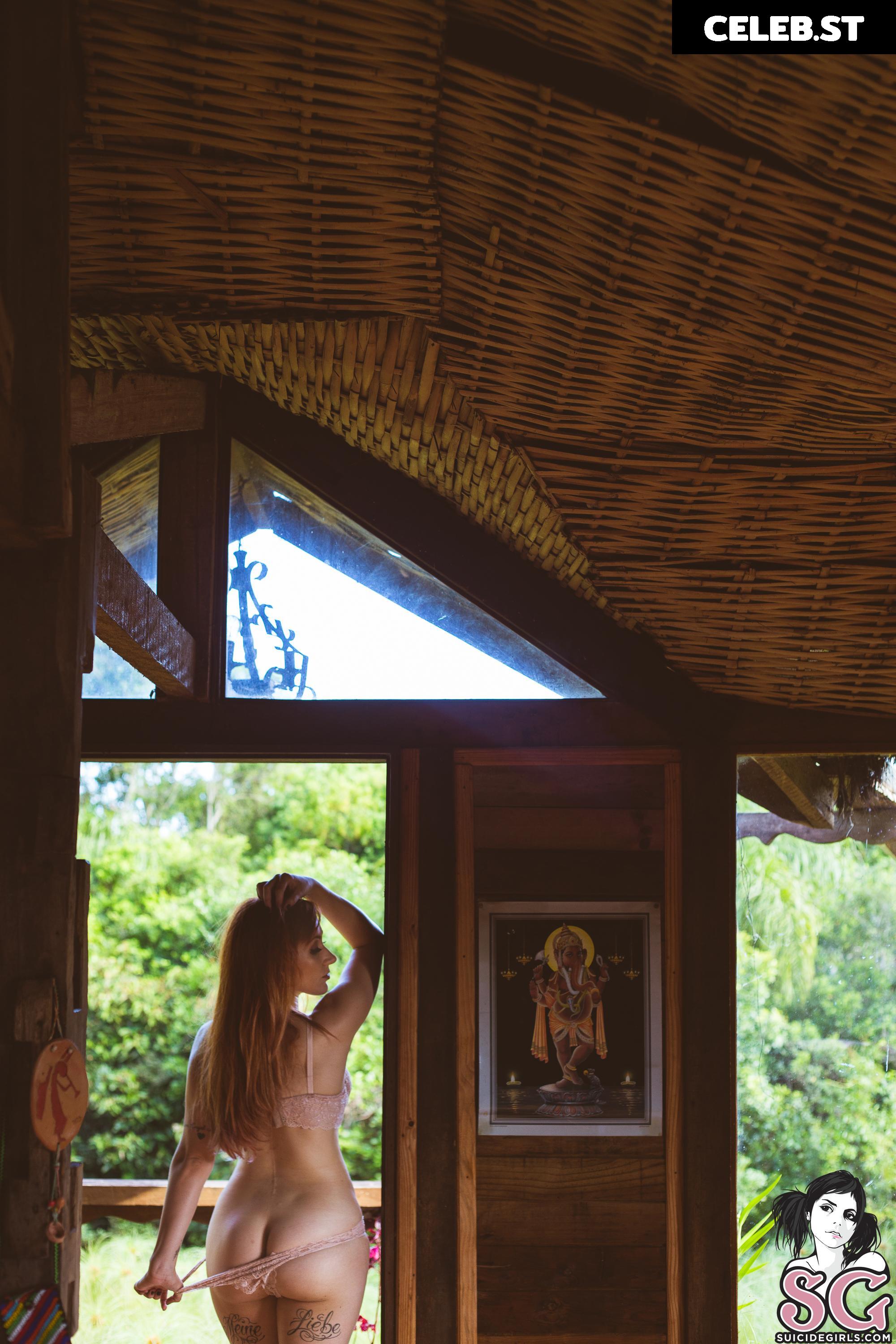 Hilo Suicide Image 21778262