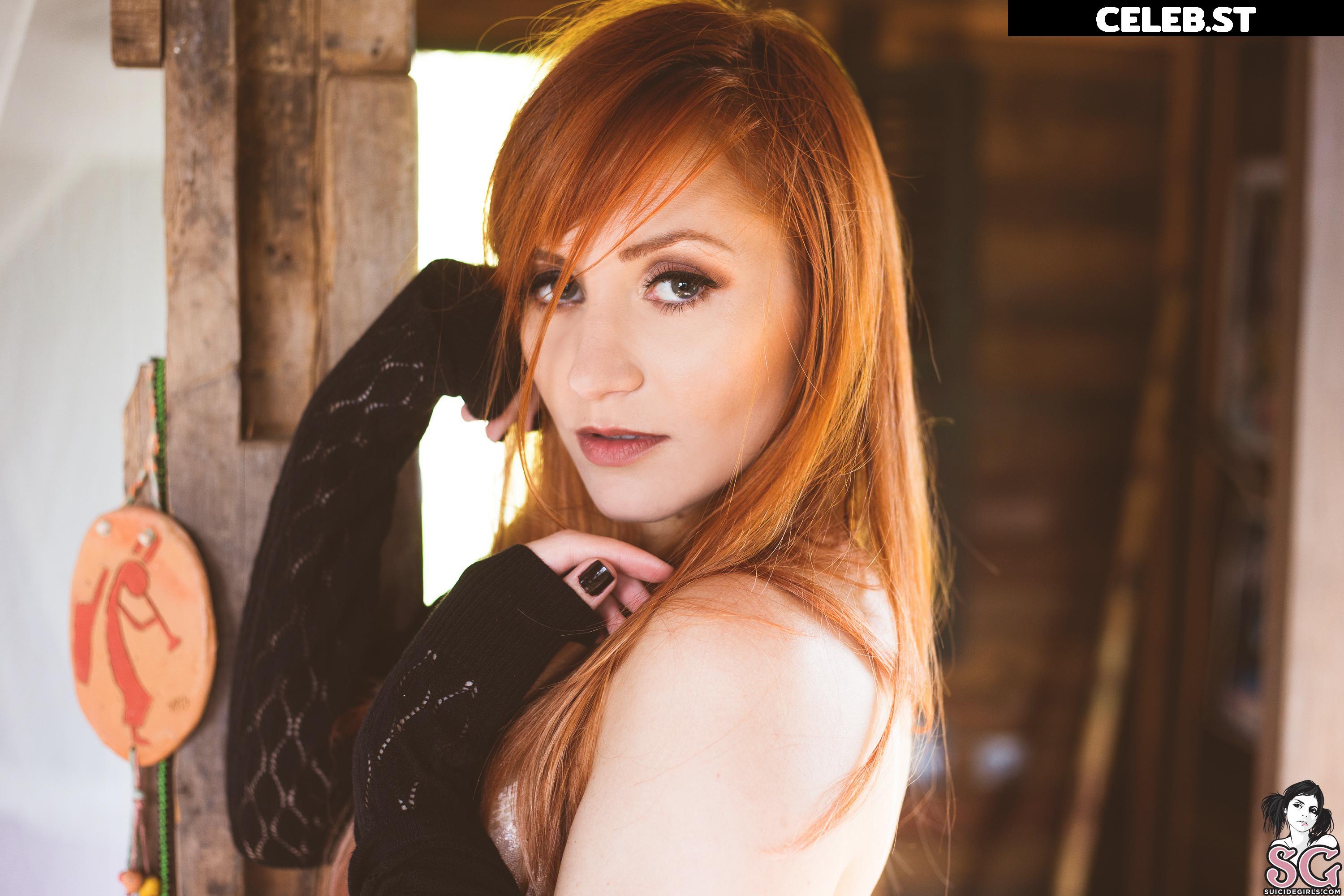 Hilo Suicide Image 21778257