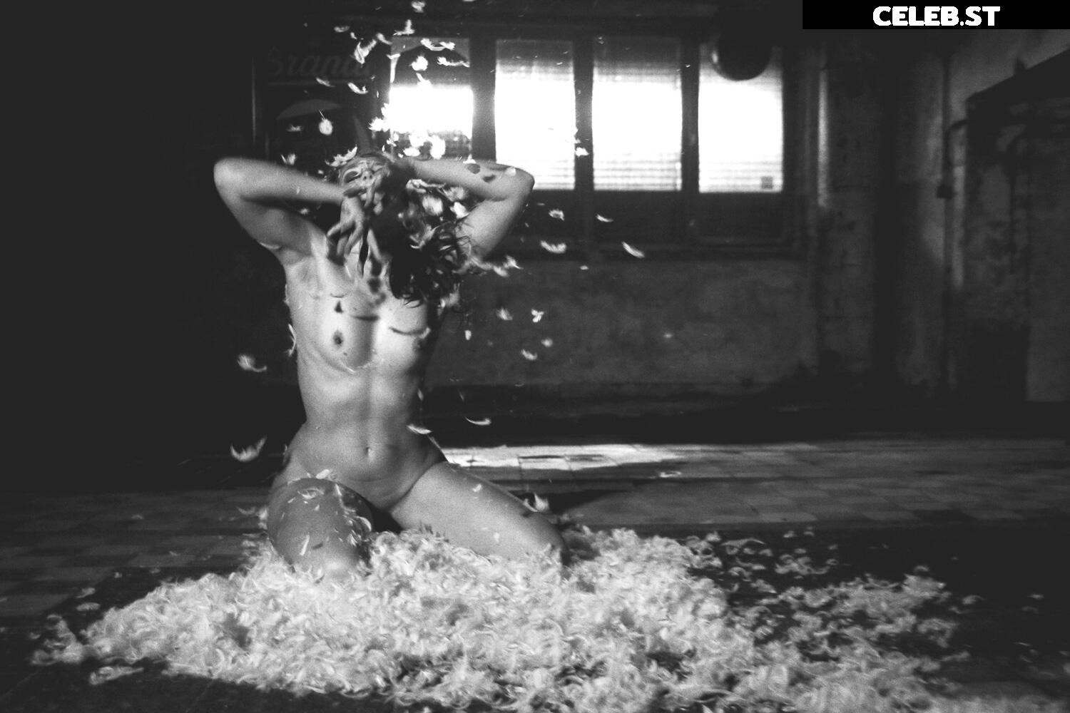 Calvato Photography - Patreon Image 2177660