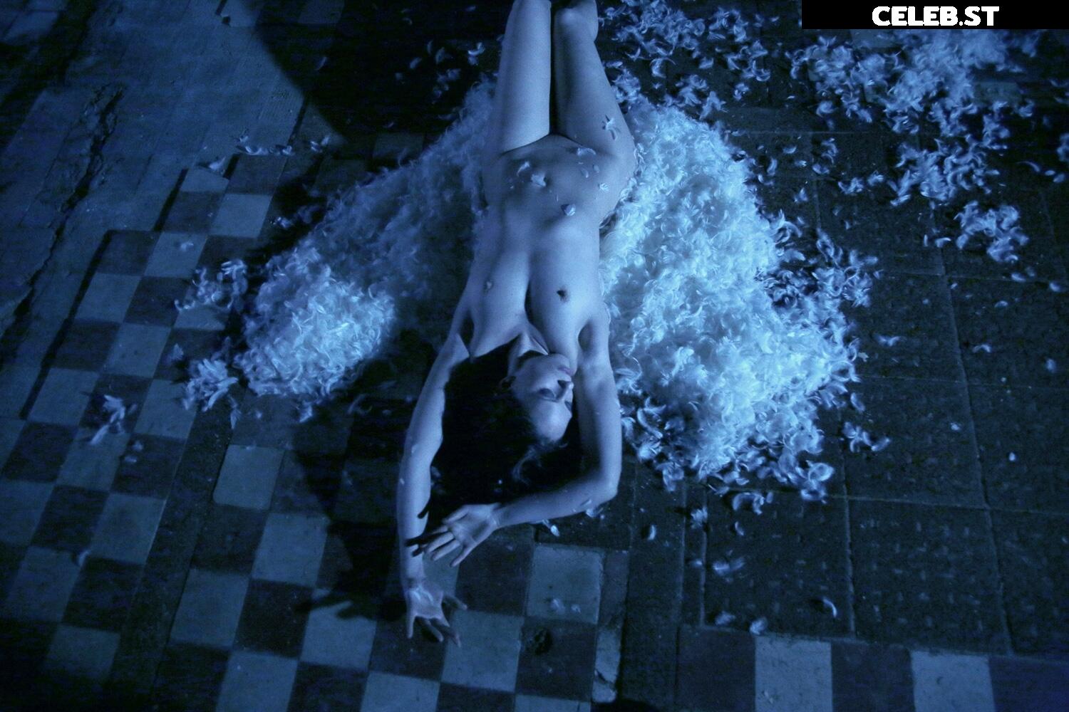 Calvato Photography - Patreon Image 2177244
