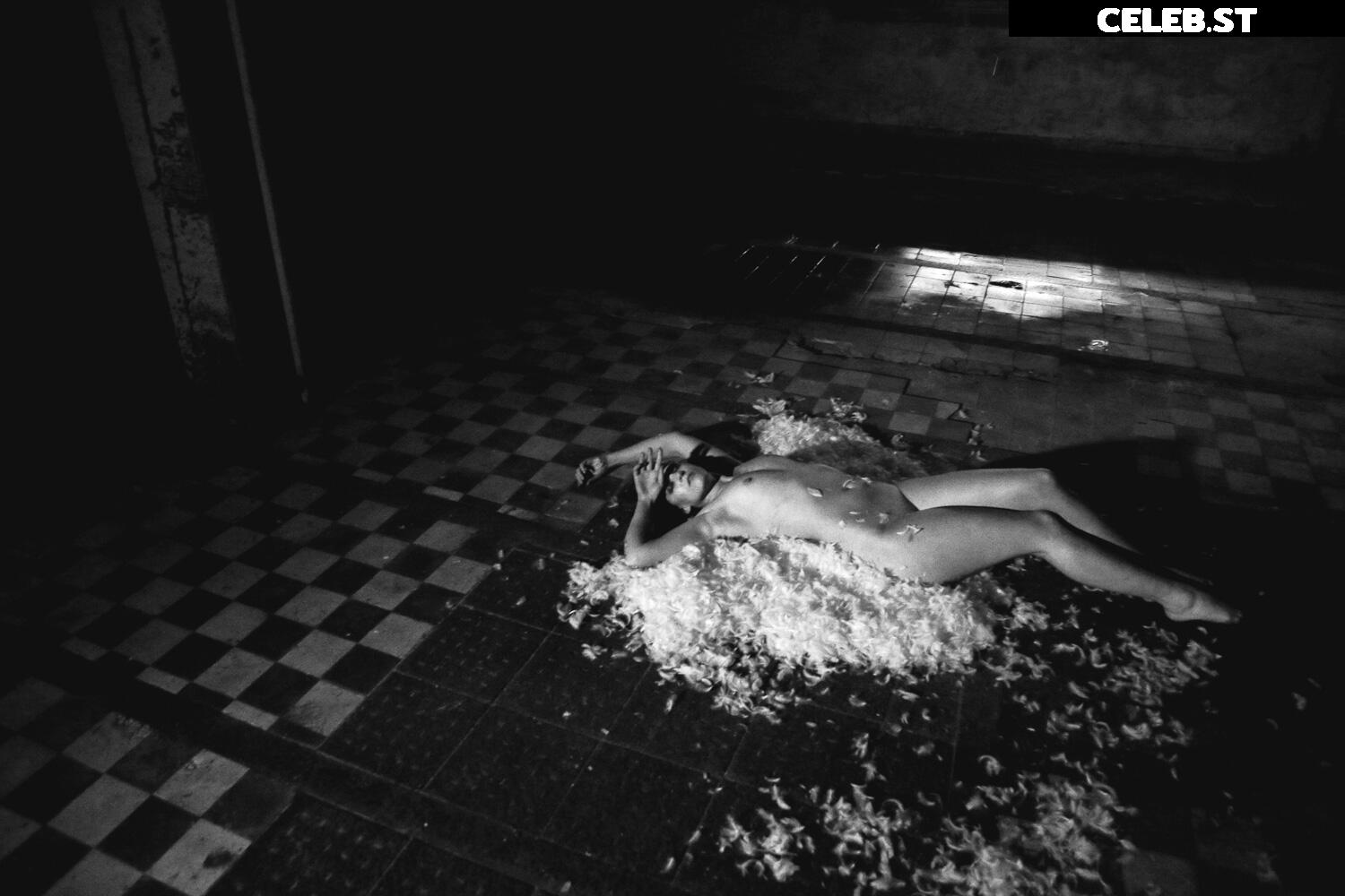 Calvato Photography - Patreon Image 2177225