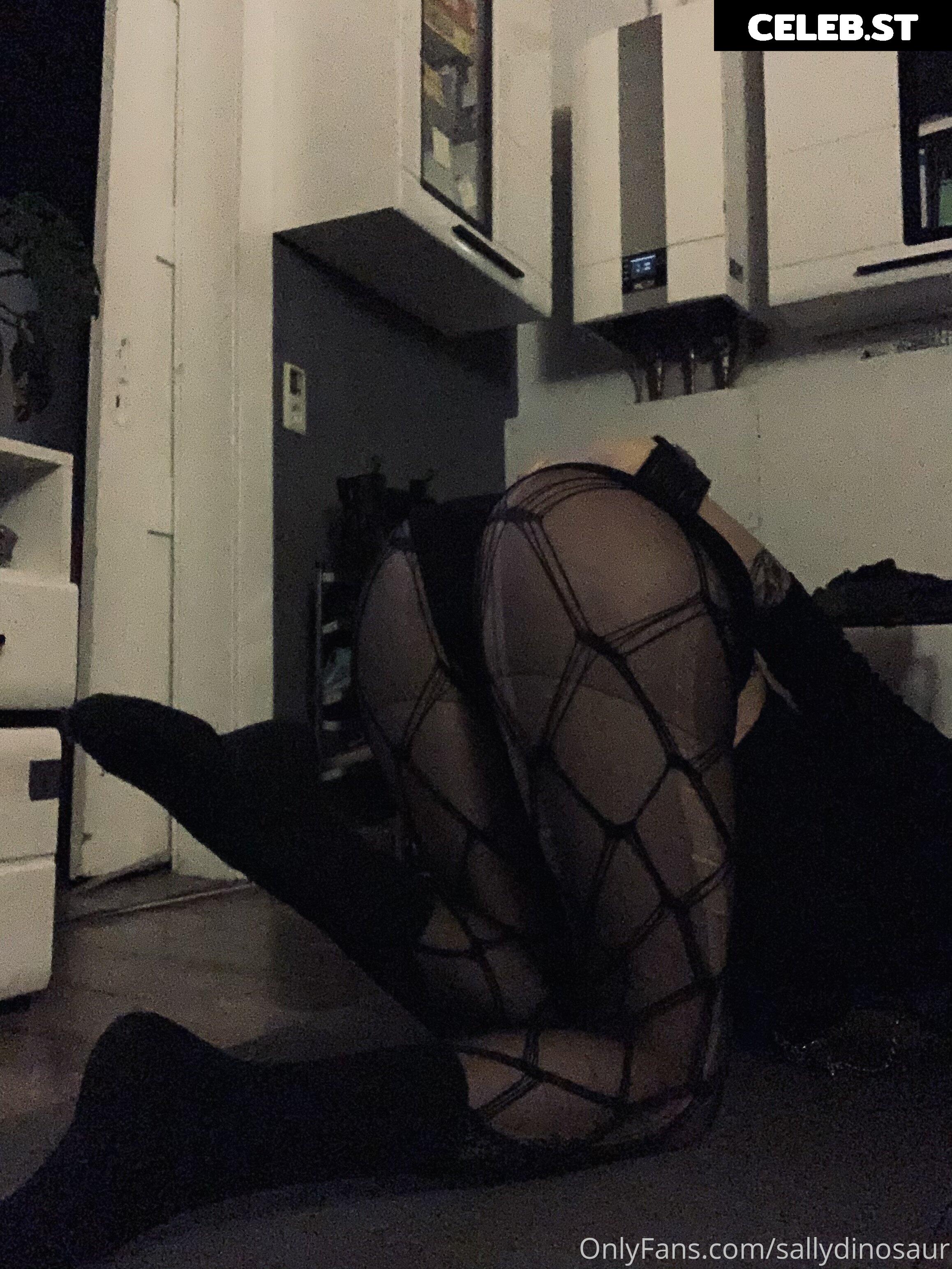 Sallydinosaur Image 2172681