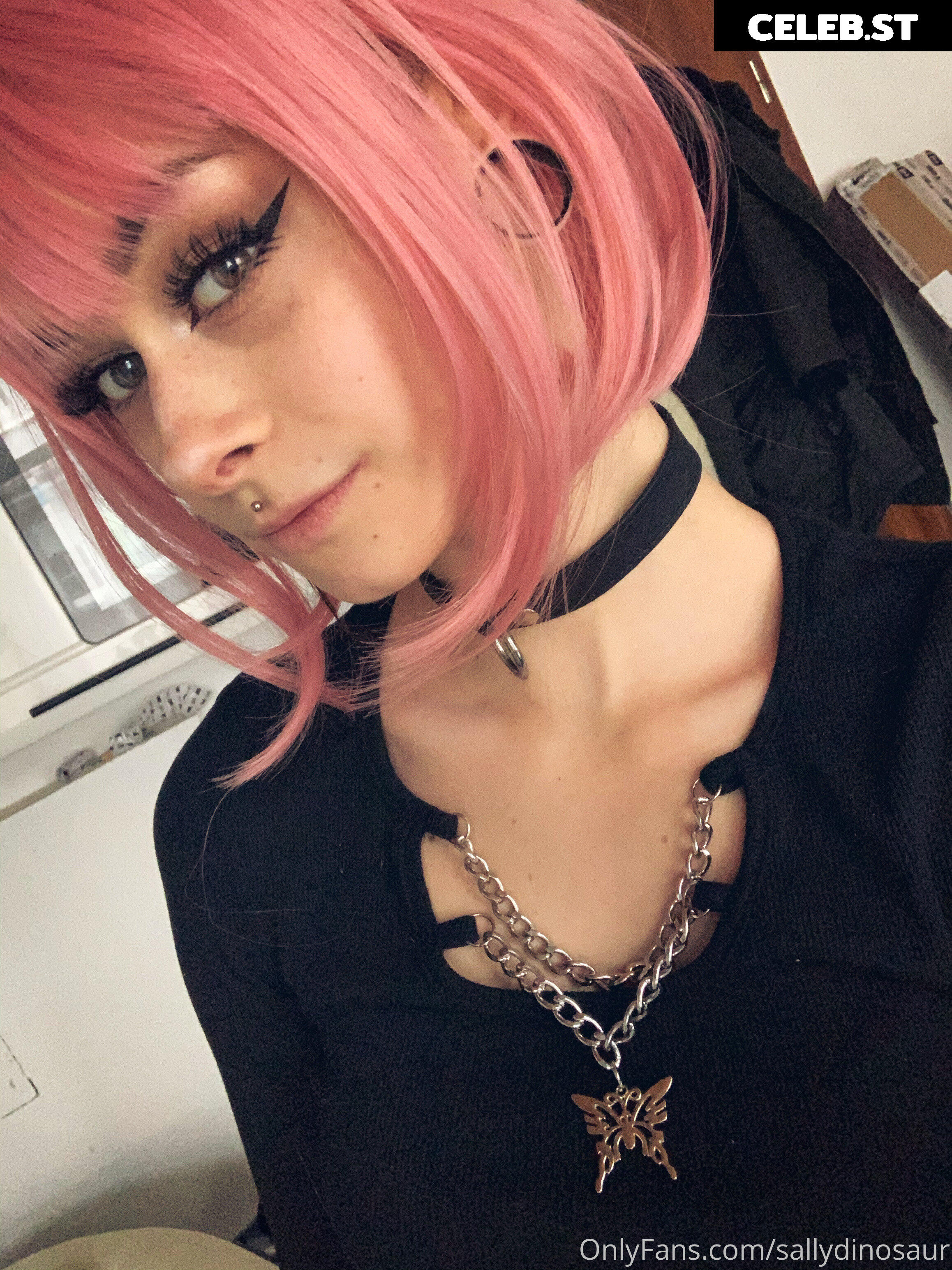 Sallydinosaur Image 2173532