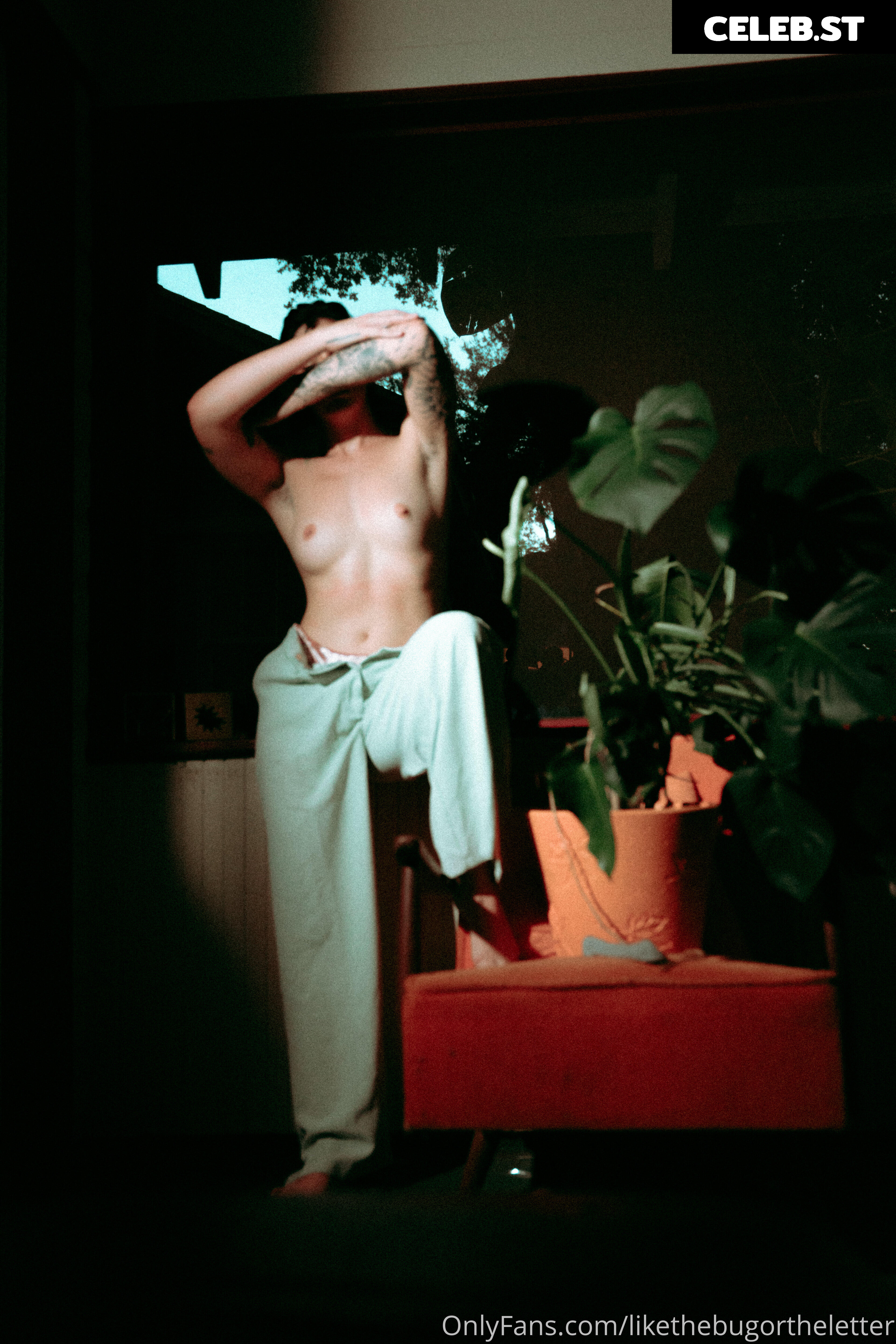 Bugortheletter | Likethebugortheletter Image 21733782