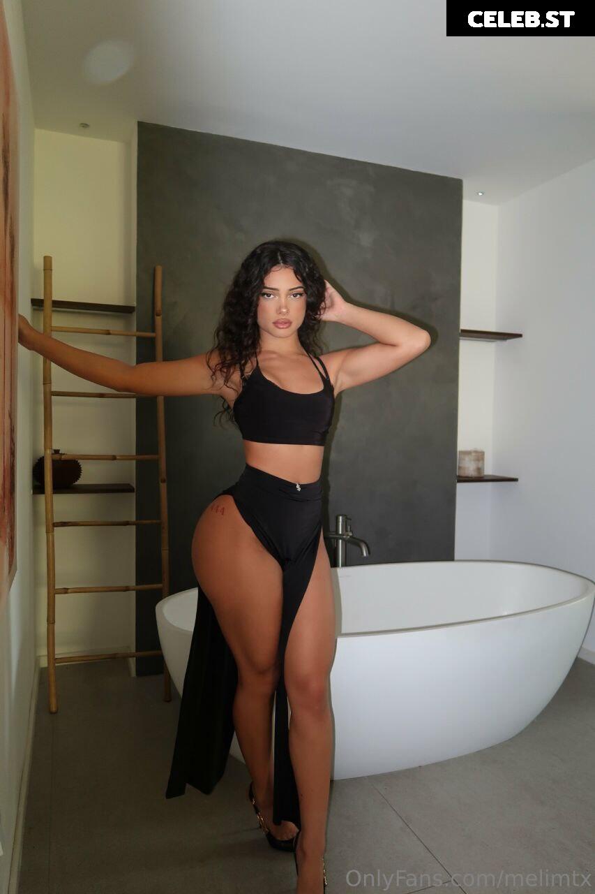 MelimTX Image 2178639