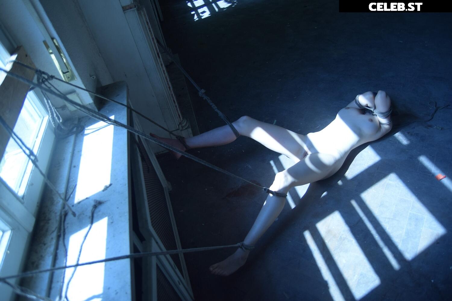 Calvato Photography - Patreon Image 2164583
