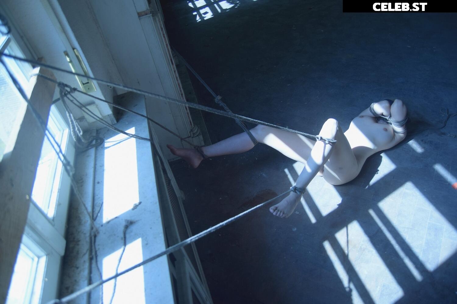 Calvato Photography - Patreon Image 2164618