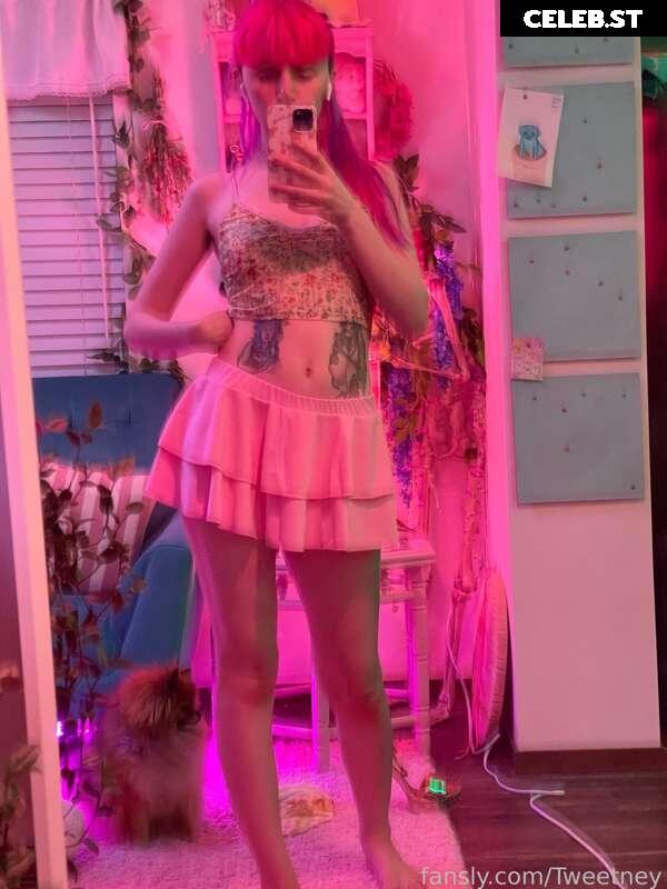 Tweetney Image 216175