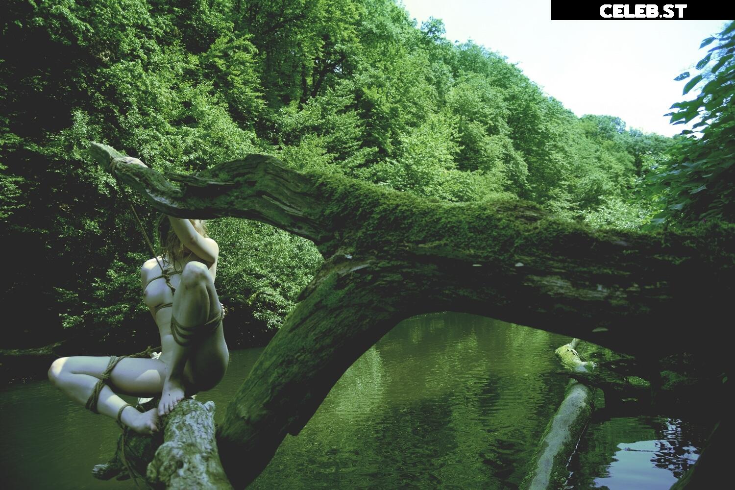 Calvato Photography - Patreon Image 2162187