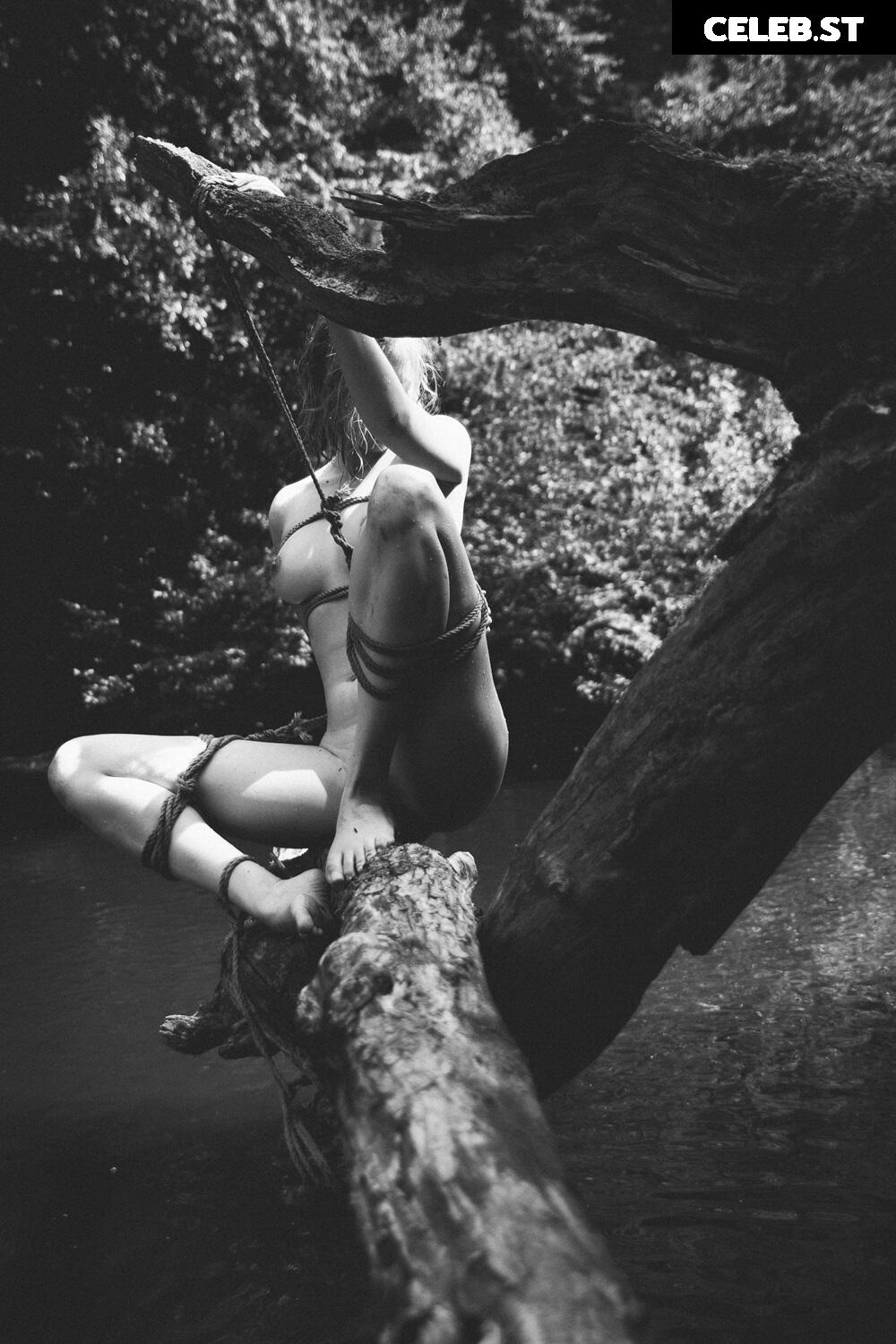 Calvato Photography - Patreon Image 2162134