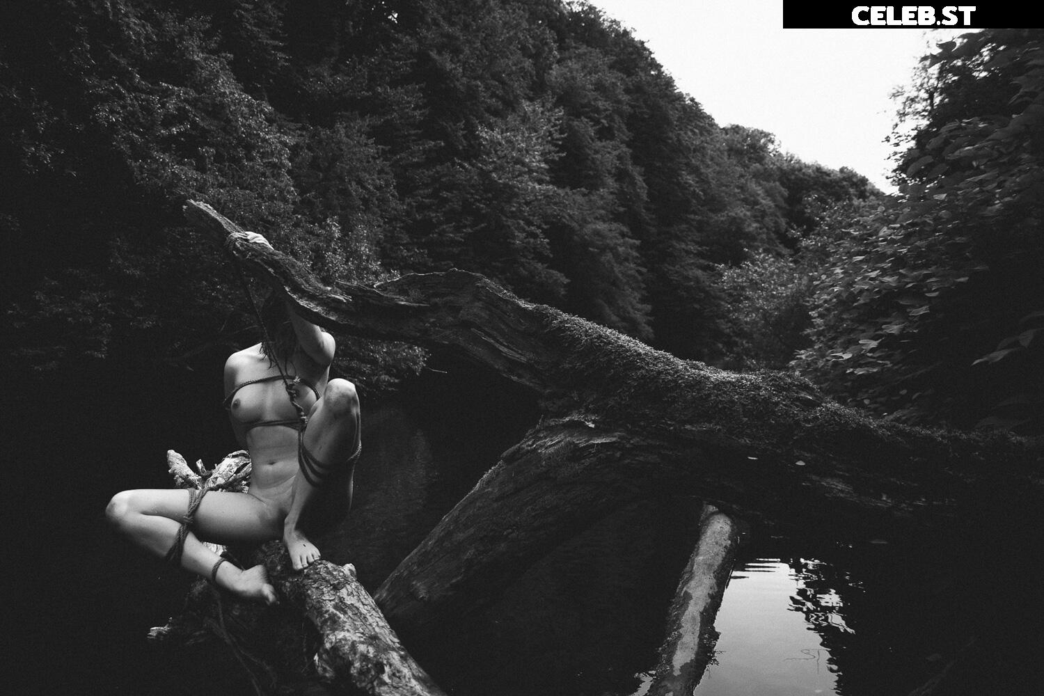 Calvato Photography - Patreon Image 2162331