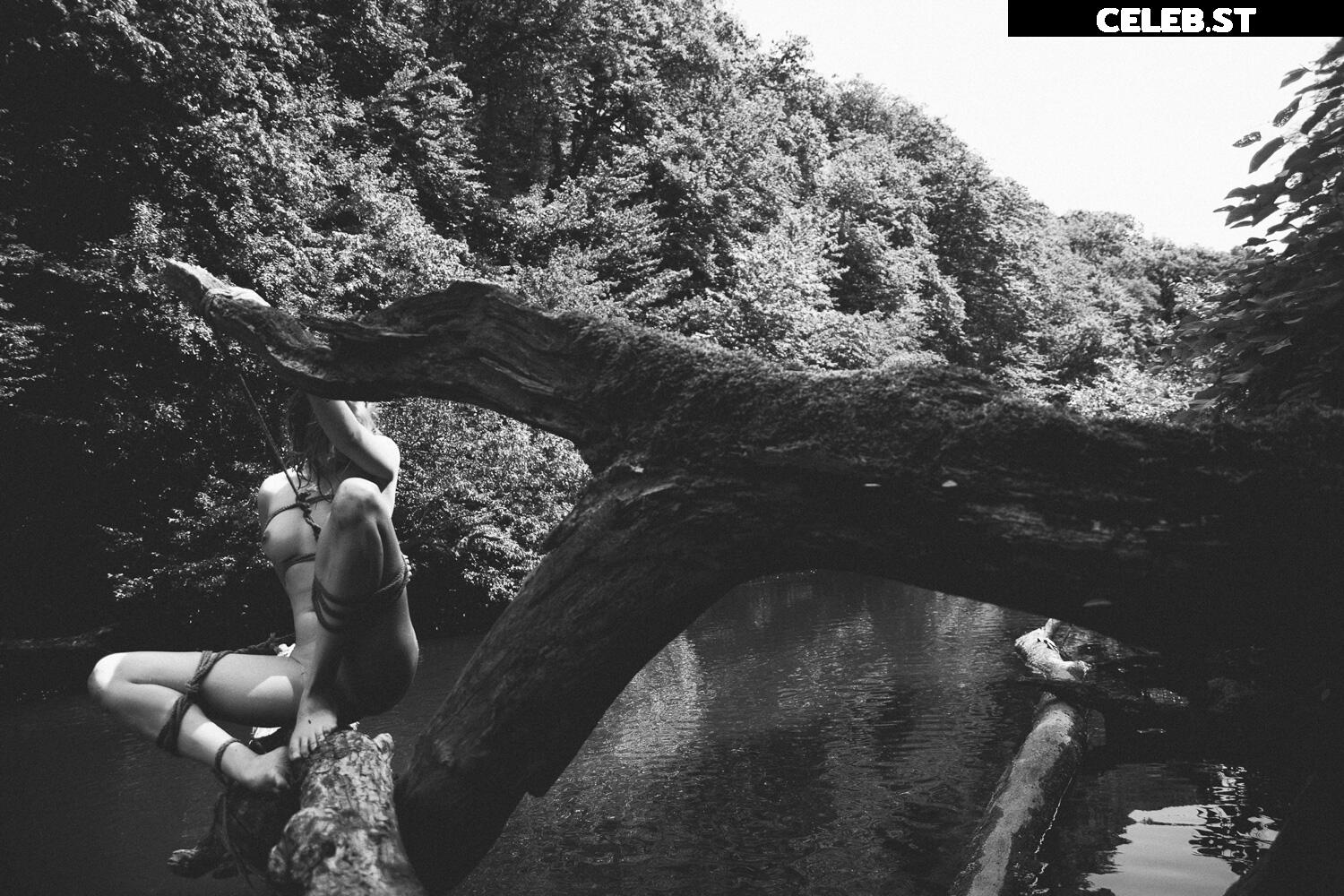 Calvato Photography - Patreon Image 2162243