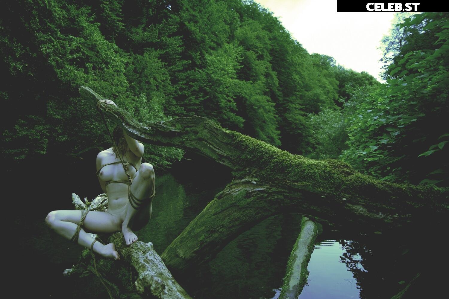 Calvato Photography - Patreon Image 2162270