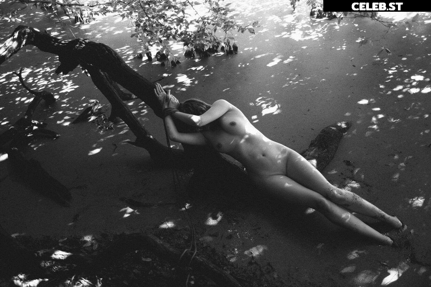 Calvato Photography - Patreon Image 2163765