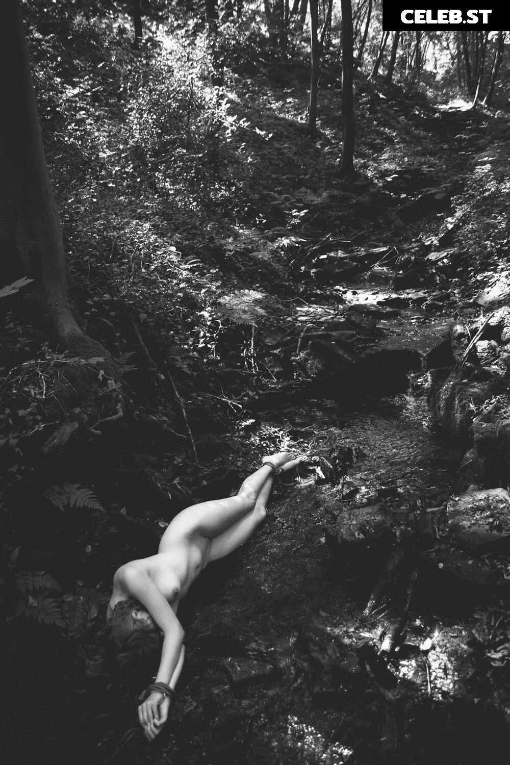 Calvato Photography - Patreon Image 2163016