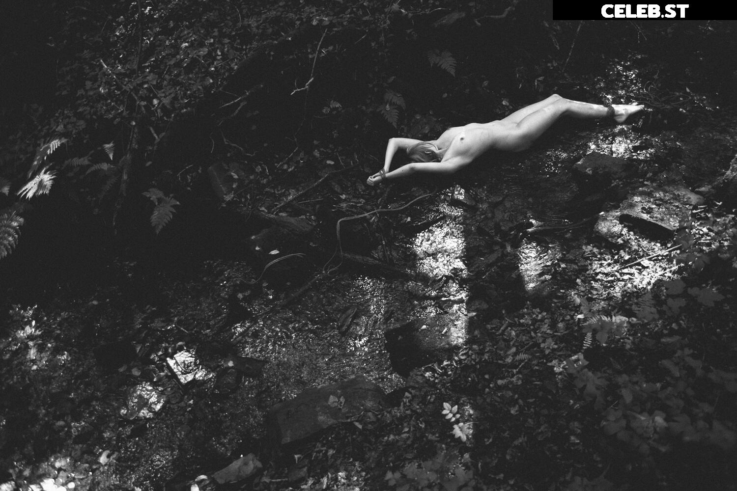 Calvato Photography - Patreon Image 2163287