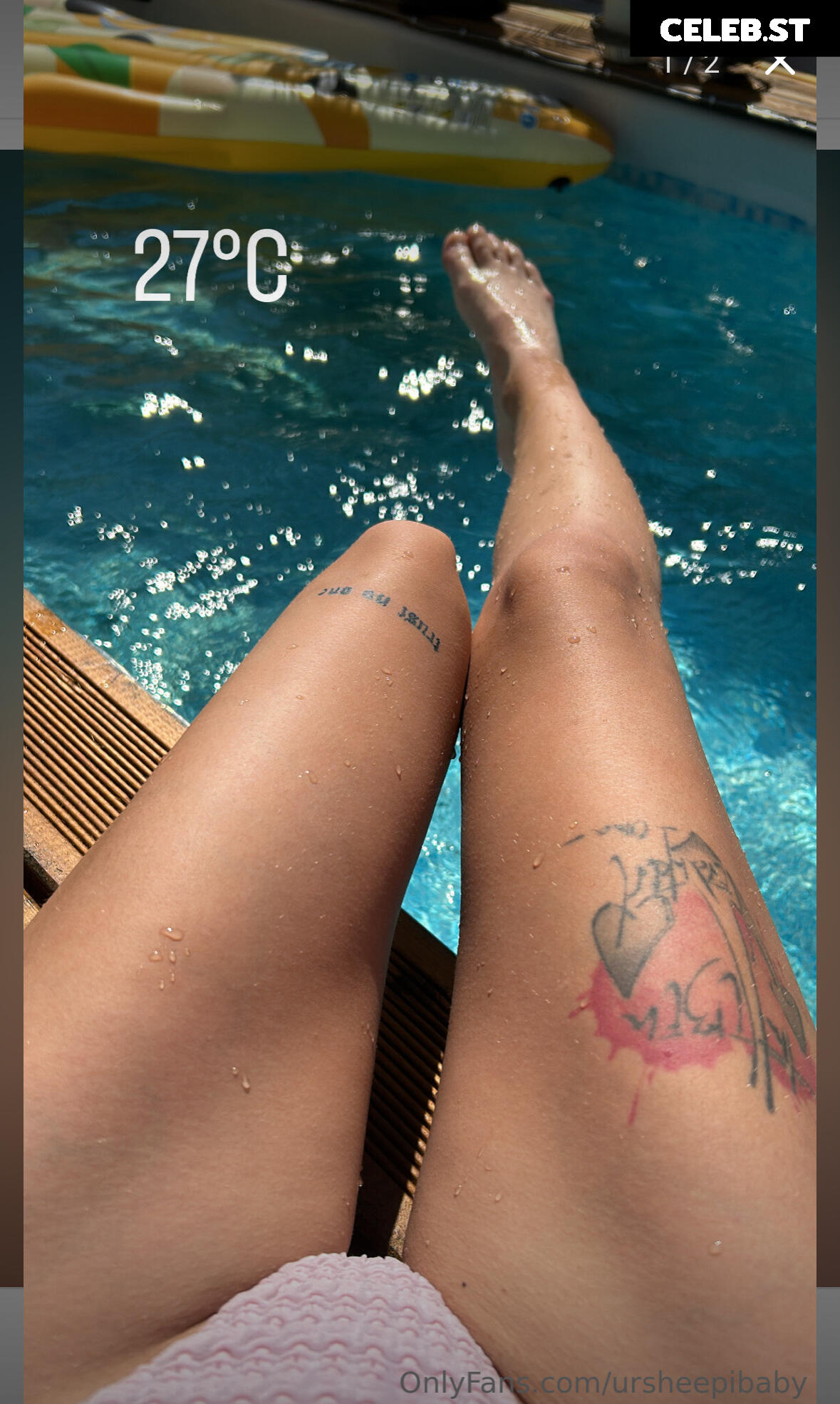 Lisa Sheepi Image 2169880