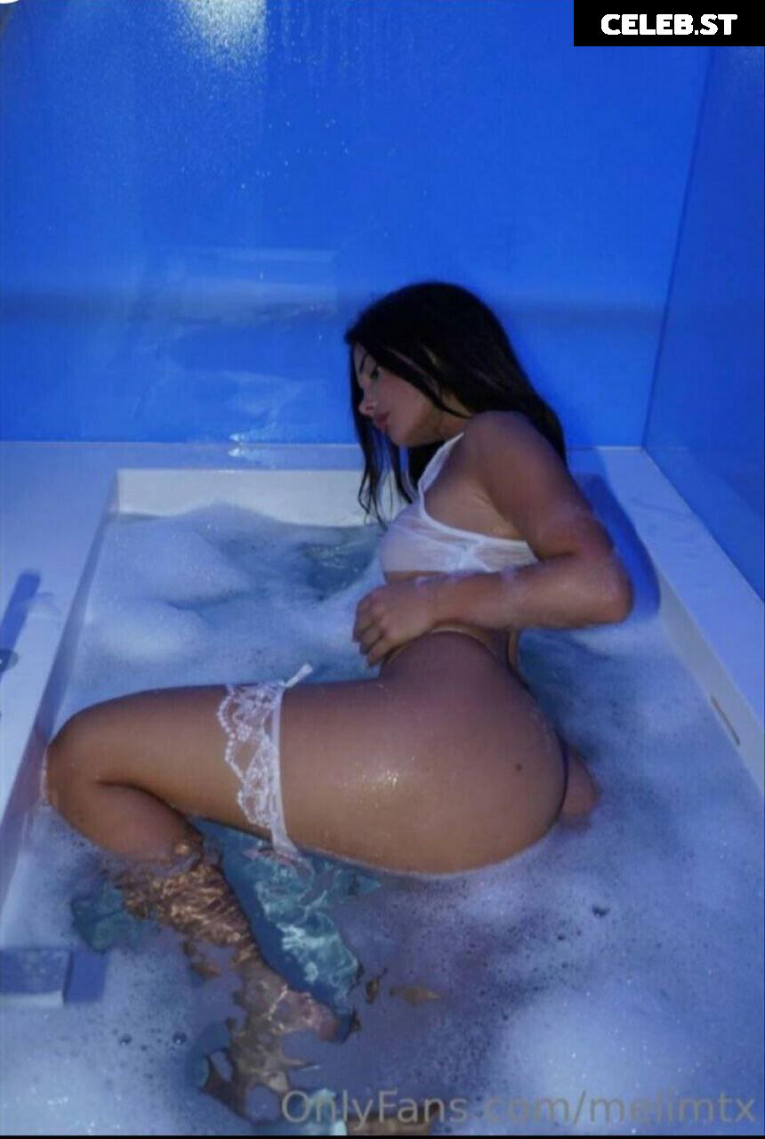 MelimTX Image 2169581