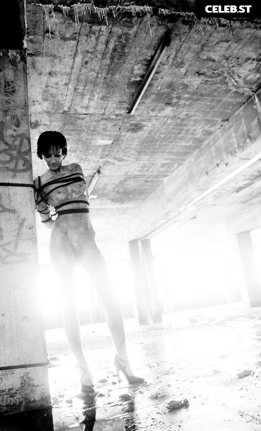 Calvato Photography - Patreon Image 2155685