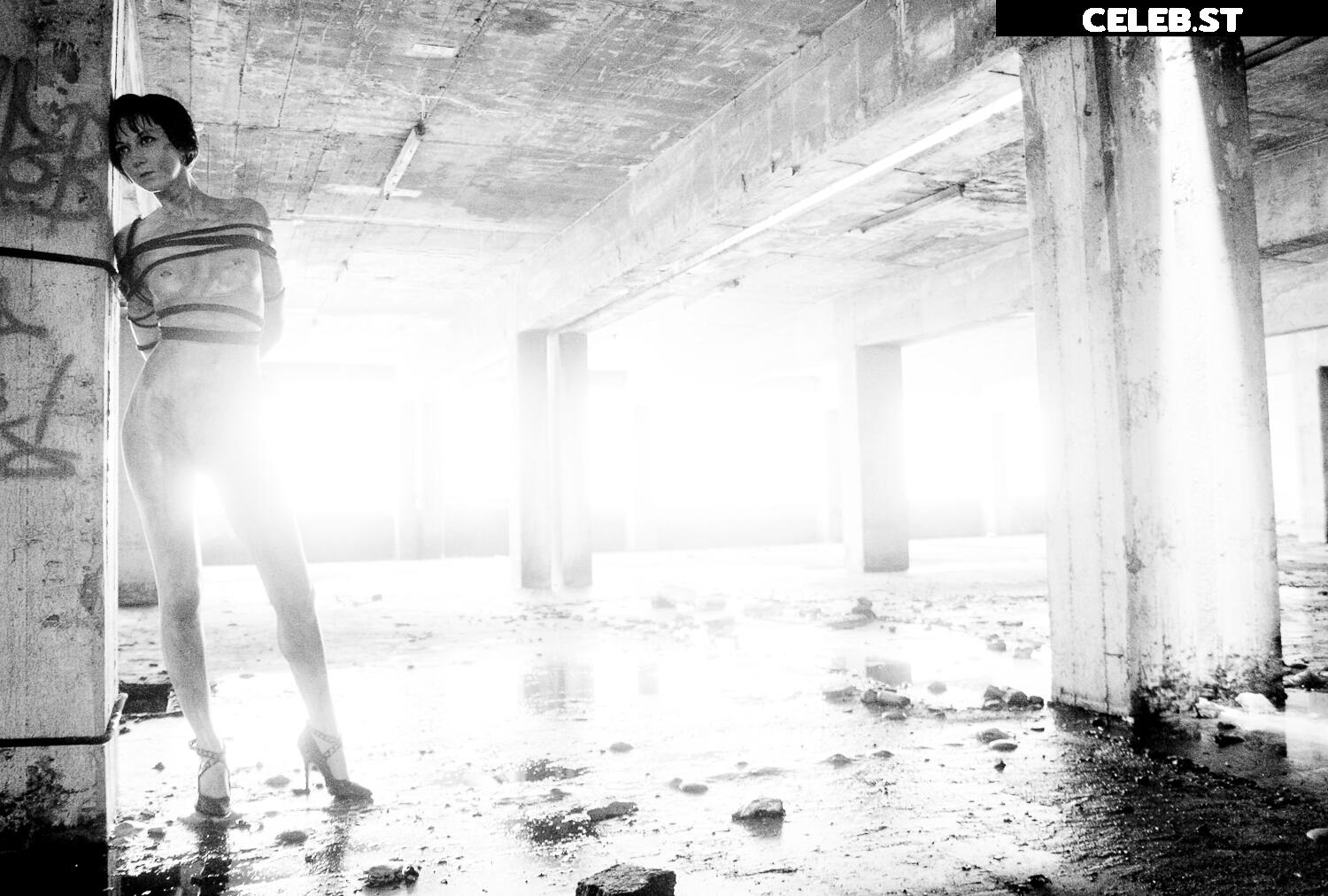 Calvato Photography - Patreon Image 2155604