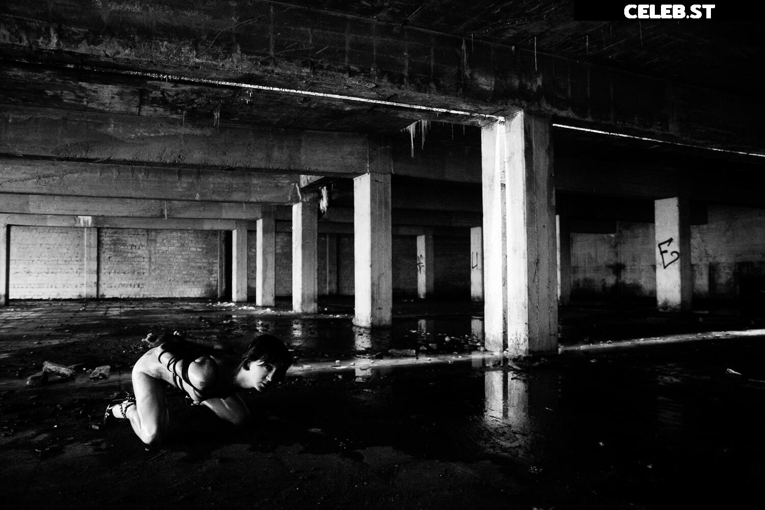 Calvato Photography - Patreon Image 2154285