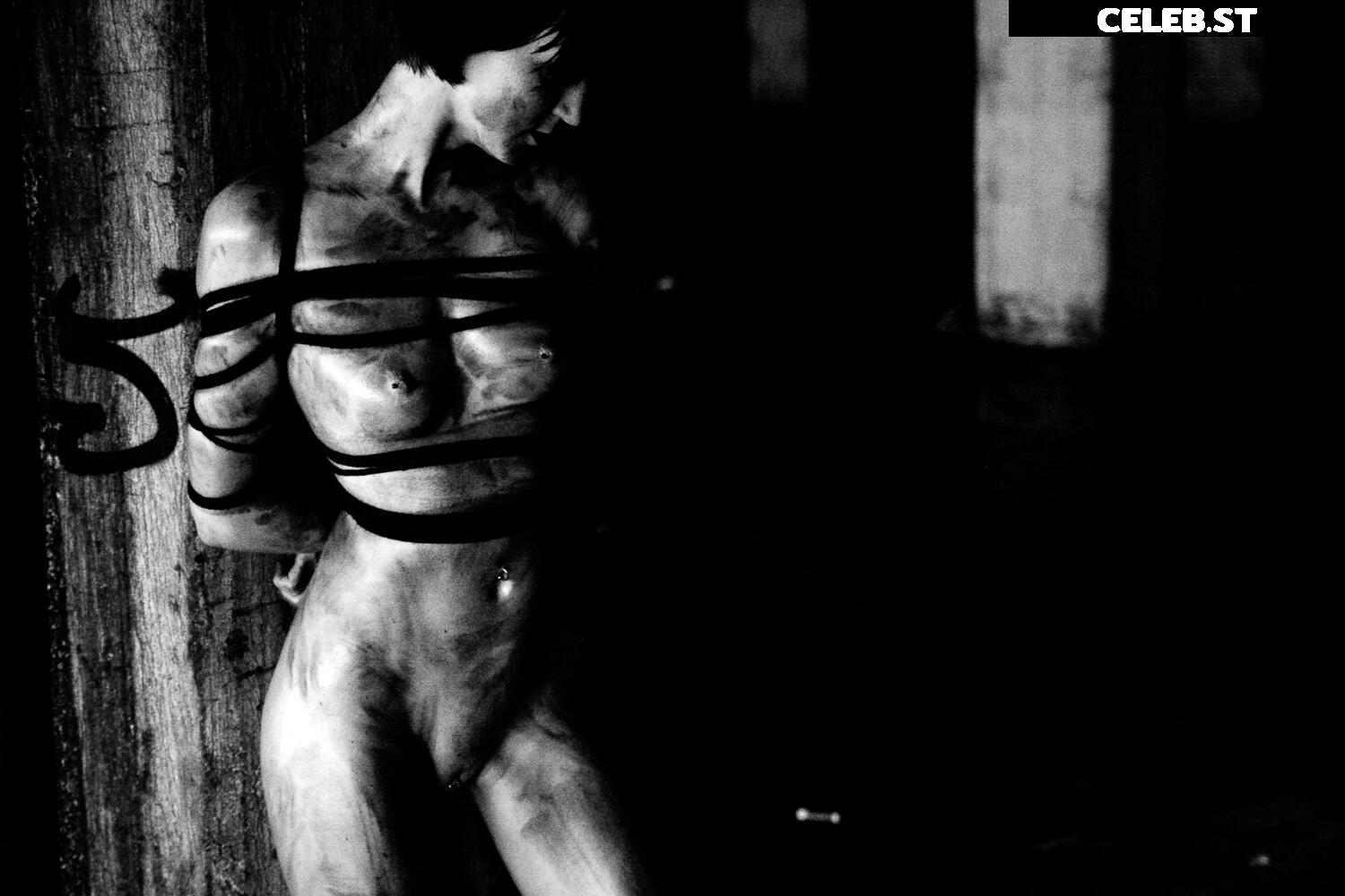 Calvato Photography - Patreon Image 2154942