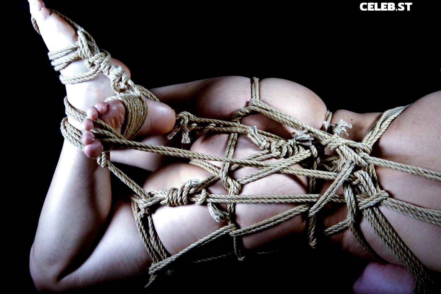 Calvato Photography - Patreon Image 2151309