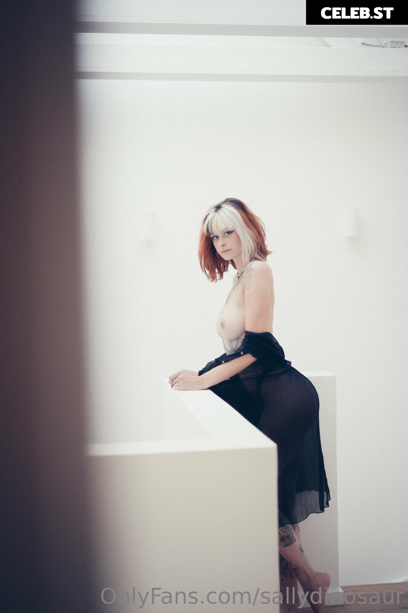 Sallydinosaur Image 2152557